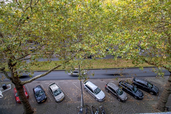 Medium property photo - Dordtselaan 180C, 3073 GP Rotterdam