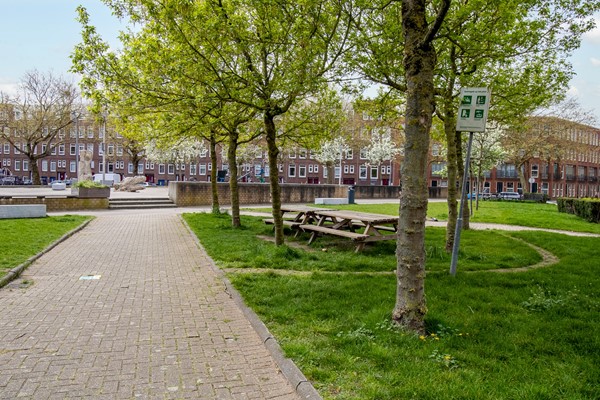 Medium property photo - Rosier Faassenstraat 91, 3025 GK Rotterdam