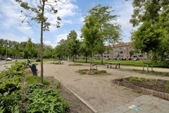 rdamzuiddef-3.jpg