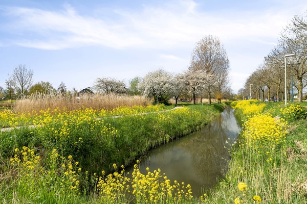 Medium property photo - Maria Tesselschadestraat 3, 4207 JZ Gorinchem