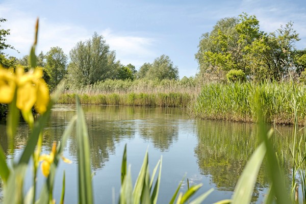 Medium property photo - Menno Ter Braakplein 31, 4207 PR Gorinchem
