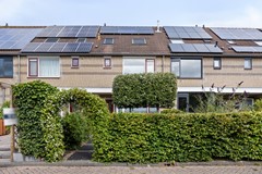 Boezem53381djGiessenburg-02.jpg
