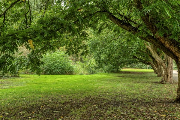 Medium property photo - Dokter Bauerstraat 162, 4205 KE Gorinchem