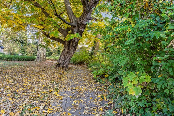 Medium property photo - Nieuwe Hoven 48, 4205 BD Gorinchem