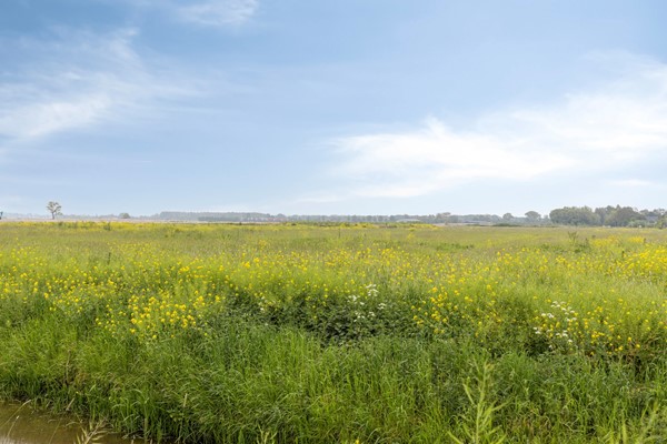 Medium property photo - Haarweg 4, 4205 ND Gorinchem