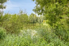 HetWiel304213cmDalemNL-38.jpg