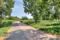 HetFluitketeltje144207wpGorinchem-53.jpg