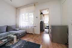 DSC04281.jpg