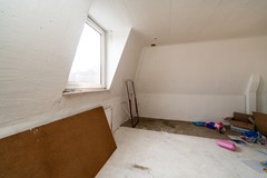 DSC08407.jpg