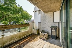 DSC08547.jpg