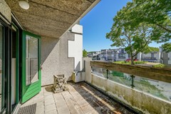 DSC08551.jpg