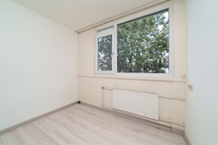 DSC09910.jpg