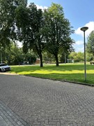 IMG_7070.jpg