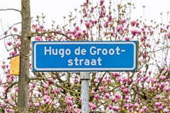 hugodegrootstraat9-001.jpg
