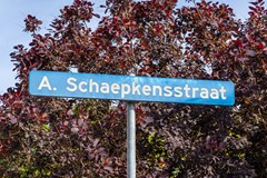 alexschaepkensstraat9-001.jpg