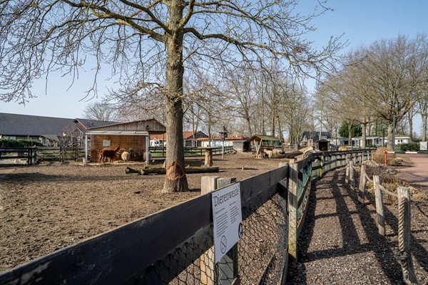 Medium property photo - Hommelweg 2R832, 6114 RT Susteren