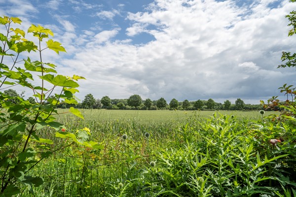 Medium property photo - Randenborgweg 24, 6118 GE Nieuwstadt