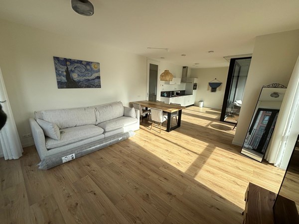 apartments for rent on Niemeyerstraat 113