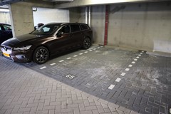 IMG_4532_LI.jpg