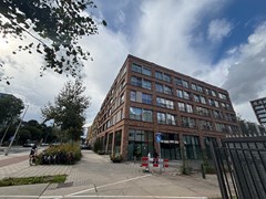IMG_9284.jpeg