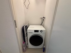 IMG_9291.jpeg