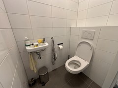 IMG_9295.jpeg
