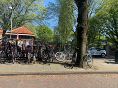 IMG_2244.jpeg