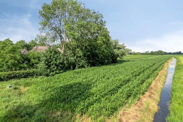 Medium property photo - Beulakerweg 123, 8355 AE Giethoorn