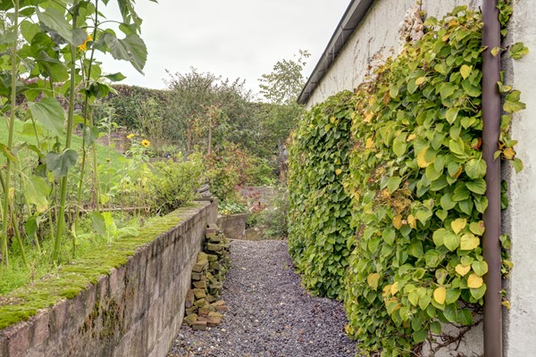 Medium property photo - Ophemertsedijk 44, 4007 PB Tiel