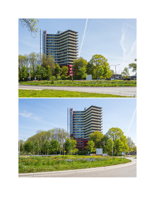 Brochure preview - Fotopresentatie.pdf