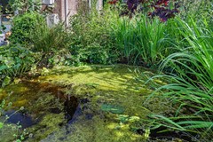 66_OCHTEN_4051_EG_Lingekant_5.JPG