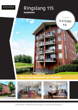 Brochure preview - Ringslang 115, 1187 BT AMSTELVEEN (1)