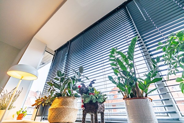 Medium property photo - Jacob Catsstraat 135, 2274 GV Voorburg