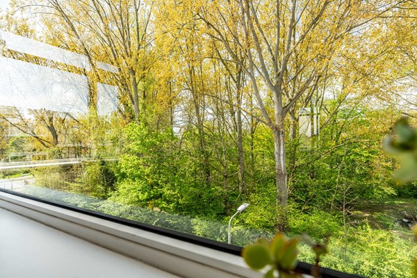Medium property photo - Meeslaan 6, 2613 ZD Delft