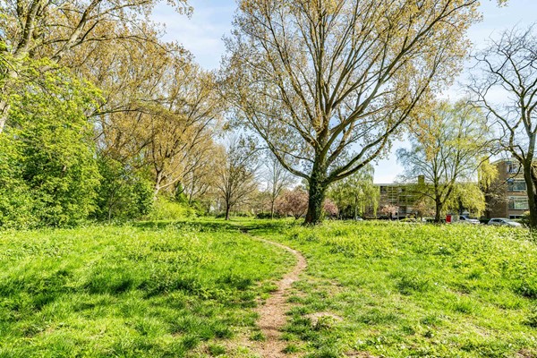 Medium property photo - Meeslaan 6, 2613 ZD Delft