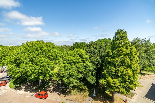 Medium property photo - Reuvenslaan 95J, 2273 GM Voorburg