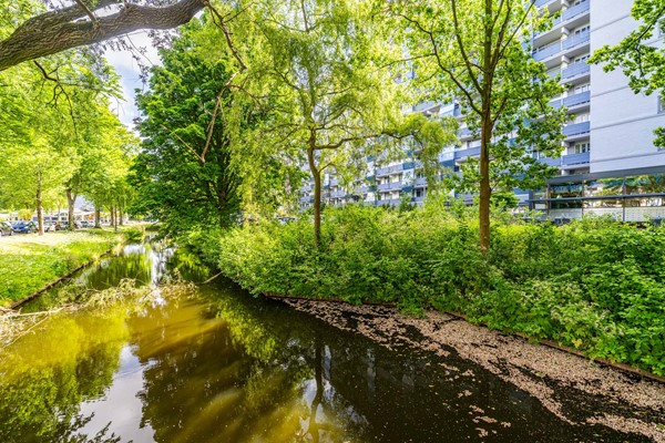 Medium property photo - Ds van den Boschlaan 109, 2286 PD Rijswijk