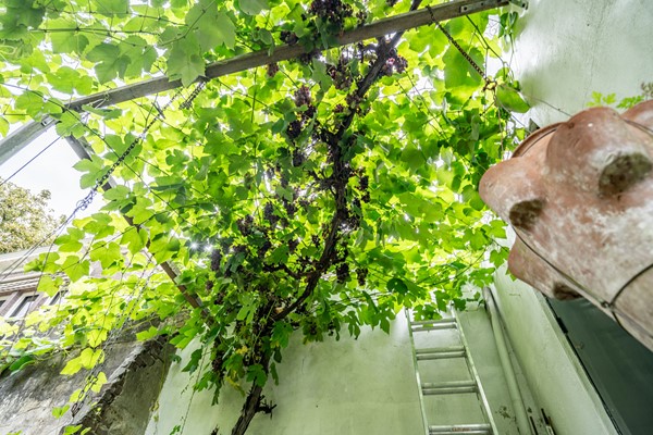 Medium property photo - Koningsplein 87, 2611 XG Delft