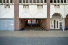 62.jpg