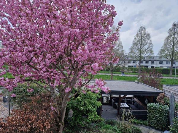 Medium property photo - Mahonie 137, 3315 ME Dordrecht