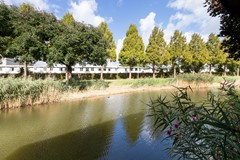 Mahonie 137_44.jpg