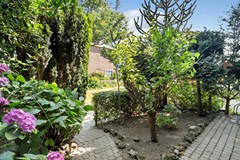 Couperusstraat 28_04.jpg