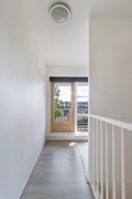 Iroko 207_32.jpg