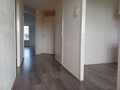 New for rent: Van Ollefenstraat 74, 1065 LL Amsterdam