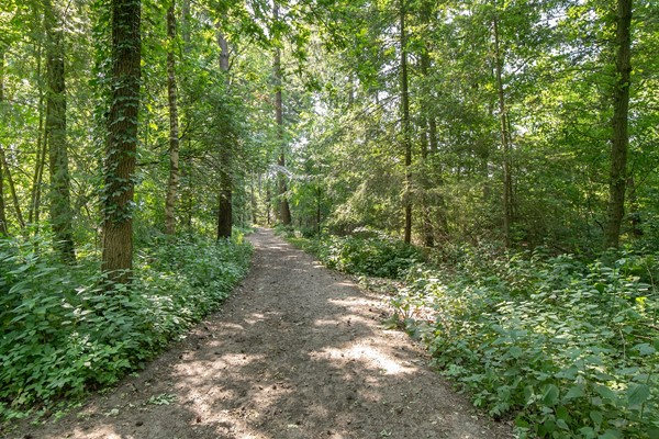 Medium property photo - Insingerstraat 19C, 3766 MA Soest