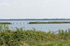 33_CVDF6451.jpg