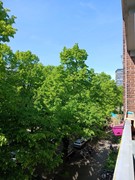 New for rent: Burgemeester Fockstraat 174II, 1063 CZ Amsterdam