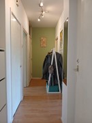 New for rent: Burgemeester Fockstraat 174II, 1063 CZ Amsterdam