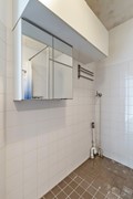 VanOllefenstraat301065LKAmsterdam-21.jpg