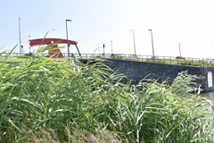 DSC_0103.JPG